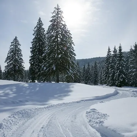 Dependence Hotela Stupka - Golf 3* Tále