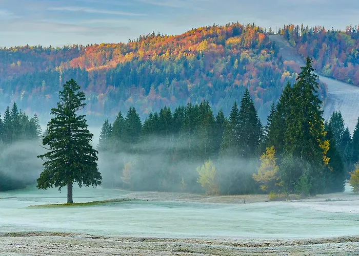 Dependence Hotela Stupka - Golf 3*