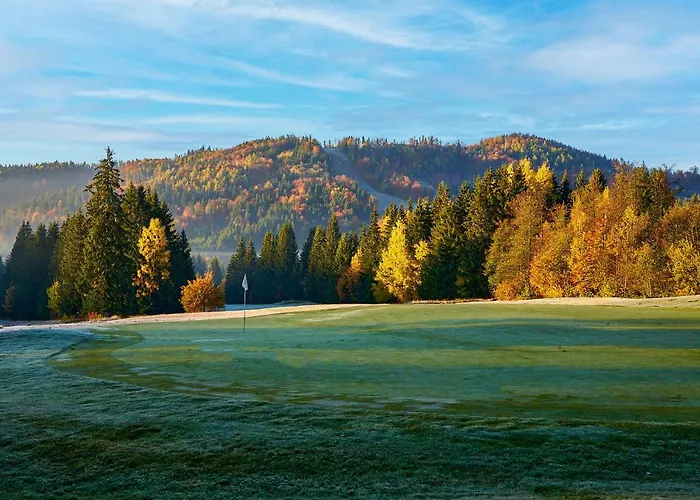 Dependence Hotela Stupka - Golf 3* Tale