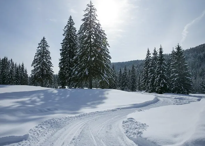 Dependence Hotela Stupka - Golf 3* Tale